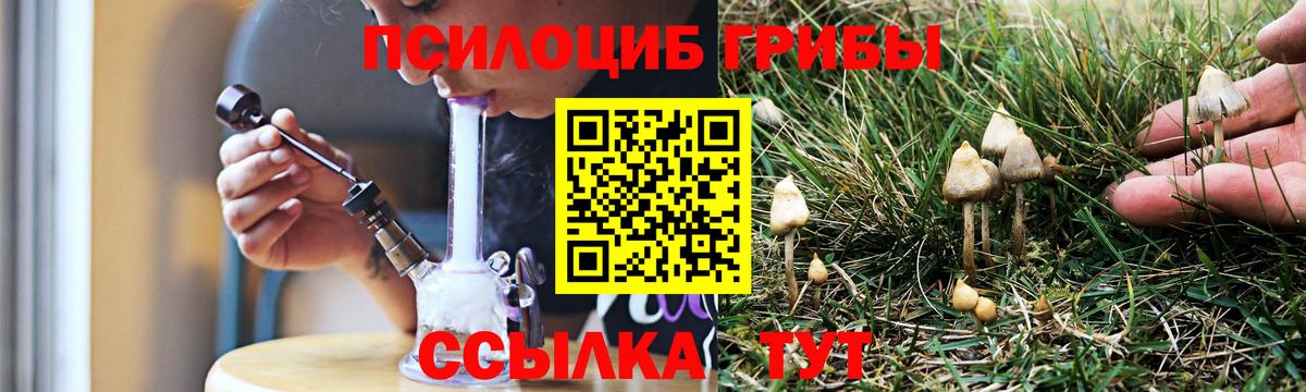 Псилоцибиновые грибы MAGIC MUSHROOMS Южноуральск